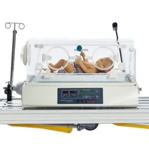 Transport incubator